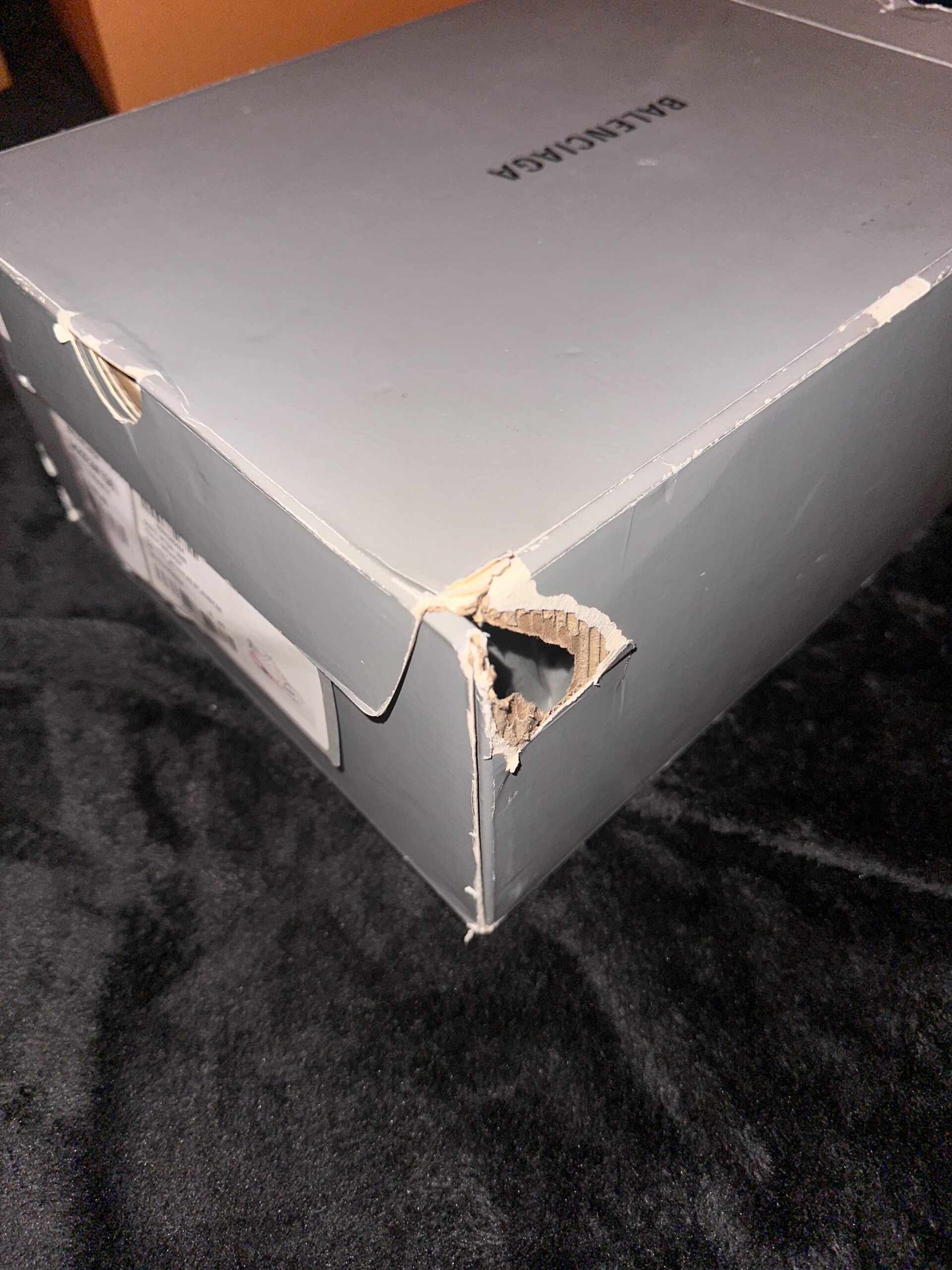 Balenciaga Track (US 7) - Image 19